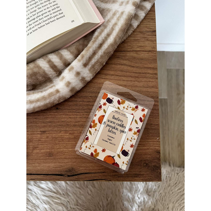 Φθινοπωρινά wax melts